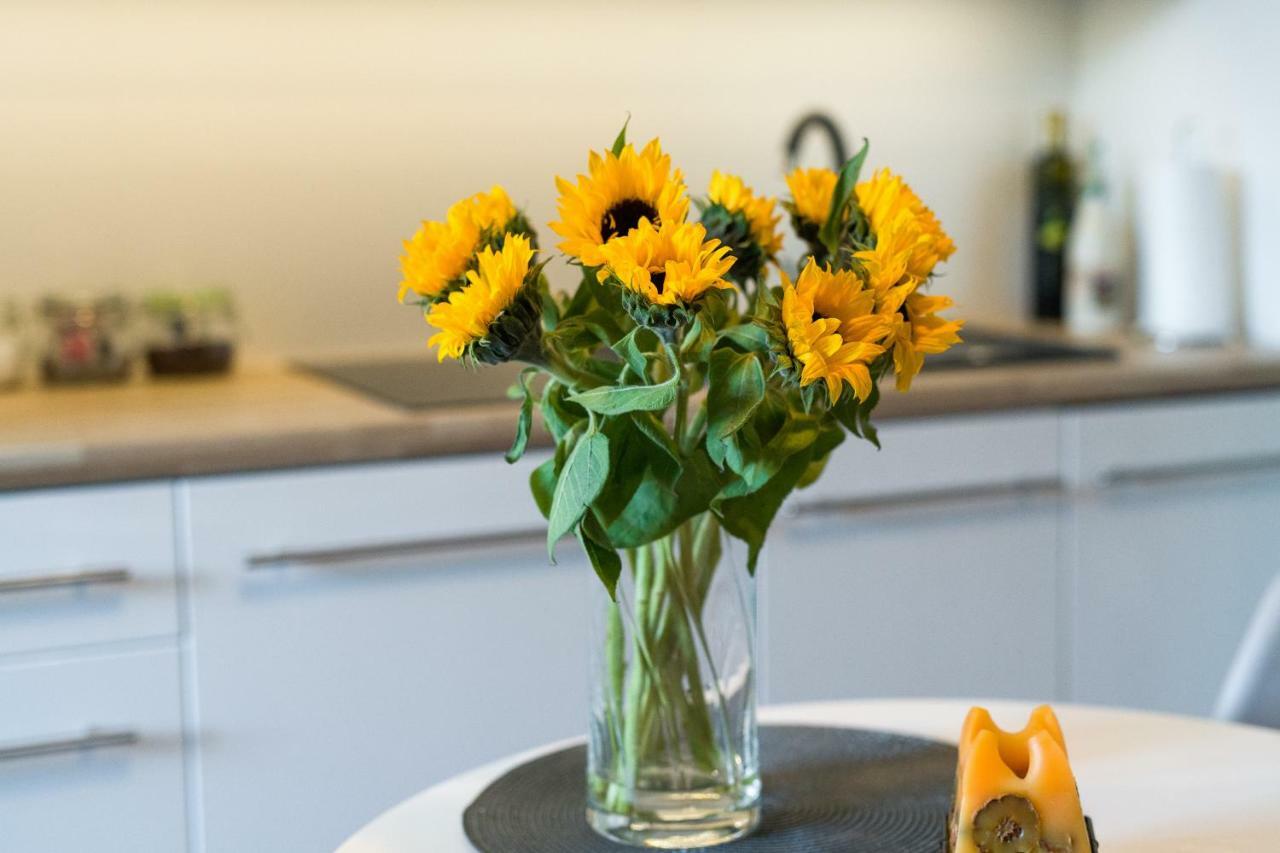 Sunflower Apartment Krakov Exteriér fotografie